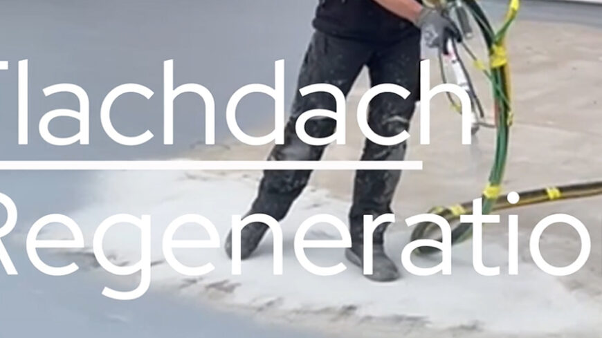 Unsere Landingpage "Flachdachregeneration"